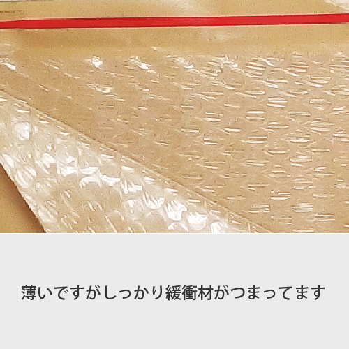 ZAP 薄いクッション封筒 定形郵便サイズ W232×H117+40mm 【800枚 ZAP 薄いクッション封筒 定形郵便サイズ W232×H117+40mm 【800枚