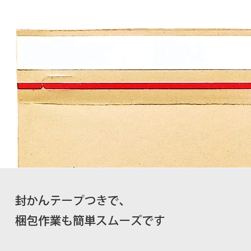 ZAP 薄いクッション封筒 定形郵便サイズ W232×H117+40mm 【800枚 ZAP 薄いクッション封筒 定形郵便サイズ W232×H117+40mm 【800枚