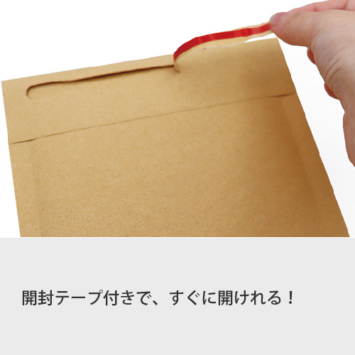 ZAP 薄いクッション封筒 定形郵便サイズ W232×H117+40mm 【800枚 ZAP 薄いクッション封筒 定形郵便サイズ W232×H117+40mm 【800枚