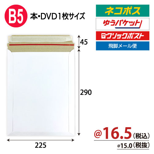 宅配レター封筒B5サイズ　W225×H290+45ｍｍ 【200枚入】　
