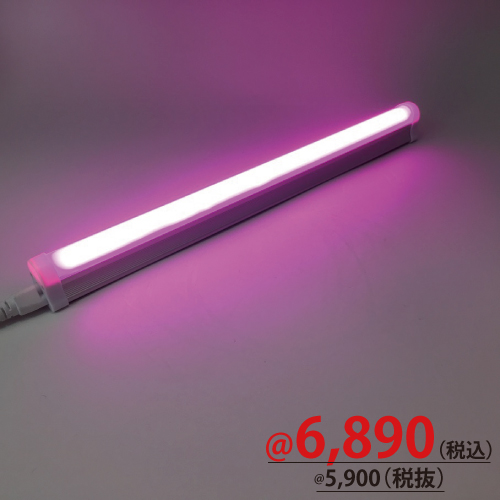 ｌｅｄマルチライトw600 H35 D22 ピンク８ｗ どこよりも安く 梱包資材 店舗用品の総合販売 株式会社ザップ 梱包クラブ